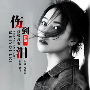 伤到极致没有泪(DJ永豪版)