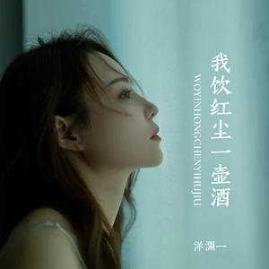 我饮红尘一壶酒(Live)