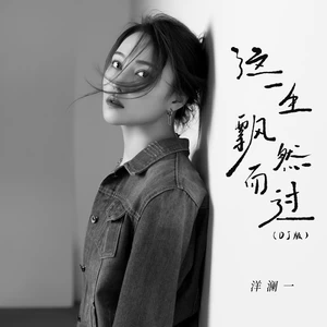 洋澜一 - 这一生飘然而过(DJBanan版)