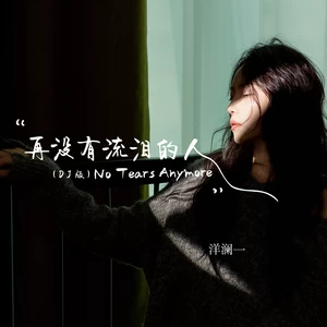再没有流泪的人(DJBanan版伴奏)