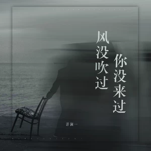 风没吹过你没来过(伴奏)
