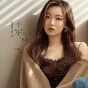 不定的风(DJ默涵版)