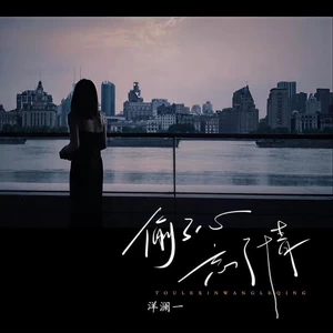 偷了心负了情(和声伴奏)