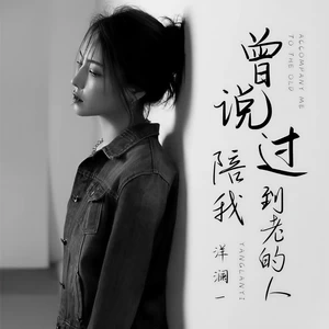 曾说过陪我到老的人(DJ默涵版)
