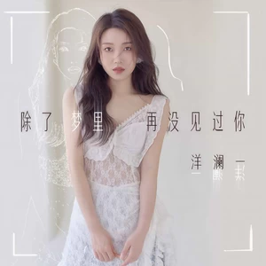 洋澜一 - 除了梦里再没见过你(DJ九零版)