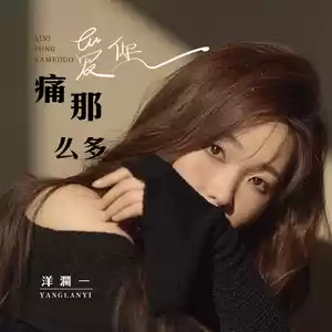 爱你痛那么多(DJ版)