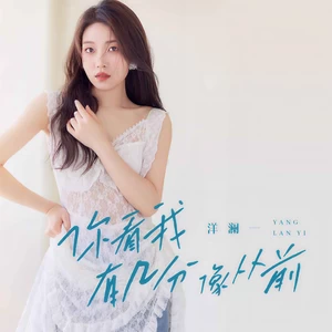 你看我有几分像从前(伴奏)