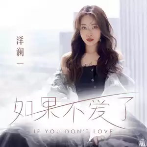 如果不爱了(DJ阿齐版)