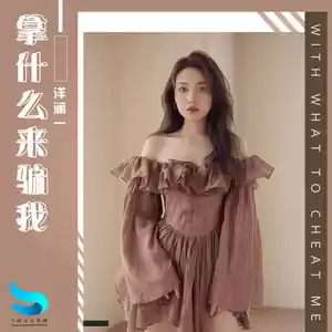 拿什么来骗我(DJ沈念版)
