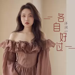 各自好过(DJ子夏版伴奏)