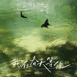 阿美呀 - 我在春天等你(Live版)