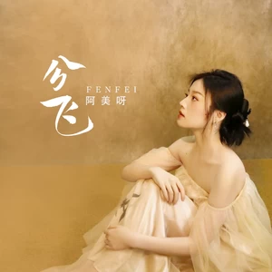 阿美呀 - 分飞(空灵版)
