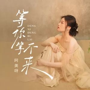 阿美呀 - 等你等不来 (空空的心已被你填满)