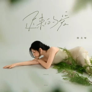阿美呀 - 迟来的爱(伴奏)