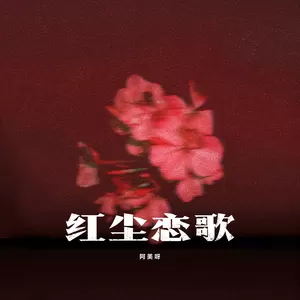 阿美呀 - 红尘恋歌(伴奏)