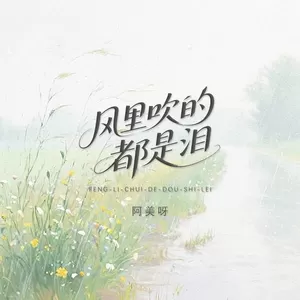 阿美呀 - 风里吹的都是泪(伴奏)