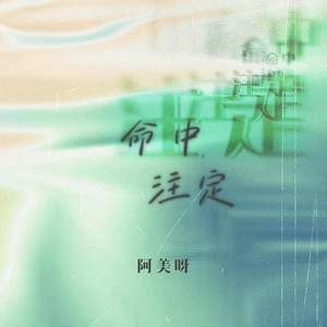 命中注定(DJ版)