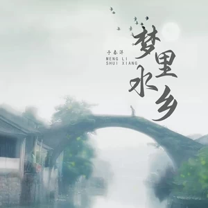 于春洋 - 梦里水乡(DJ彭锐版伴奏)