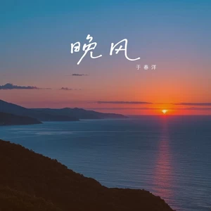 于春洋 - 晚风(DJ阿布版)