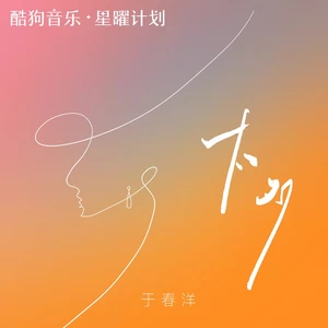 于春洋 - 太多(DJ-lucky小阳版)(伴奏)