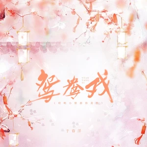 鸳鸯戏(DJ阿布版)