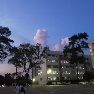 鱼蛋 - （愿）翻唱