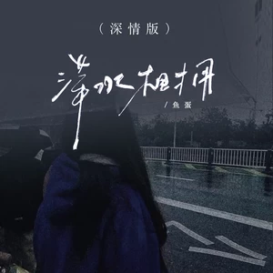 萍水相拥(DJ版伴奏)