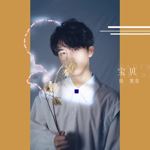徐秉龙 - 宝贝