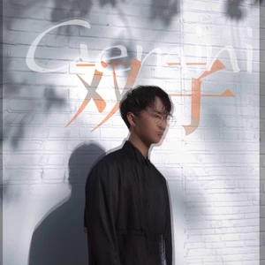 徐秉龙 - 双子(伴奏)