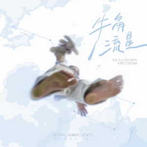 徐秉龙 - 斑马