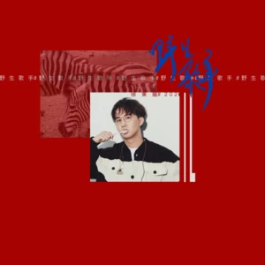 徐秉龙 - 在春天演奏