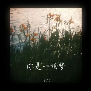 pro - 你是一场梦