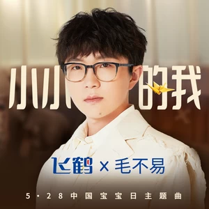 毛不易 - 小小的我(伴奏)