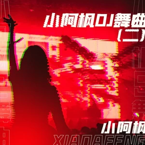 小阿枫 - 这个世界就应该需要温暖(DJ九零版伴奏)
