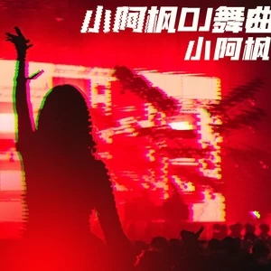 小阿枫 - 只要有你(DJ九零版伴奏)
