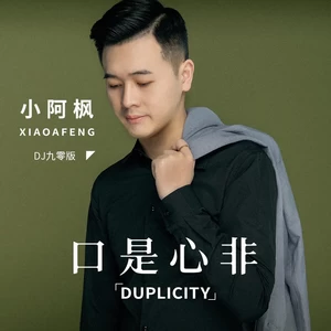小阿枫 - 口是心非(DJ九零版)