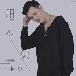 小阿枫 - 胆小鬼(DJ九零版)