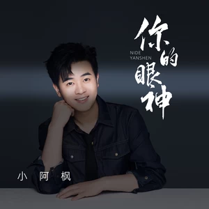 小阿枫 - 你的眼神(伴奏)