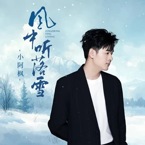 小阿枫 - 风中听落雪(DJ名龙版)