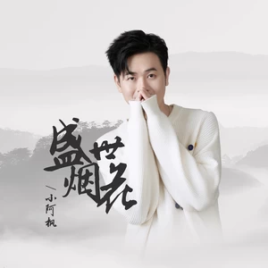 小阿枫 - 盛世烟花(伴奏)