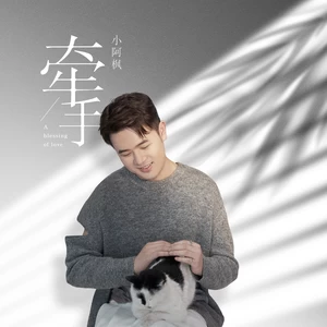 小阿枫 - 牵手