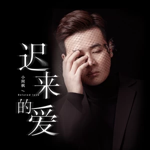小阿枫 - 迟来的爱(和声伴奏)