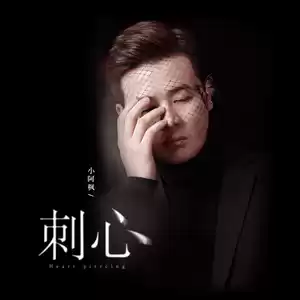小阿枫 - 刺心(和声伴奏)