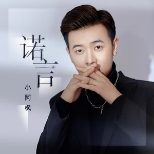 小阿枫 - 诺言(伴奏)