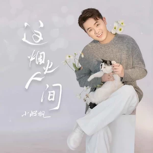 小阿枫 - 这烟火人间(DJ亚明版伴奏)