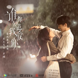罗锟 - 在时光里回头