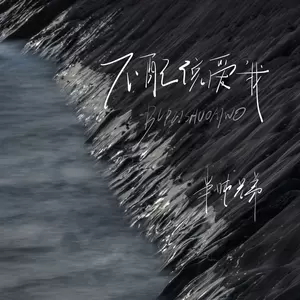 不配说爱我(DJ越鑫版)