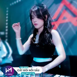 Tăng Duy Tân/WM - Cắt Đôi Nỗi Sầu(WM Remix)