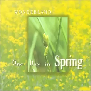 Bandari - Melody of hope