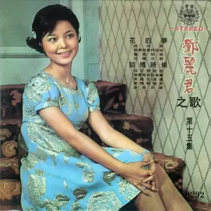 邓丽君 - 泪的衣裳